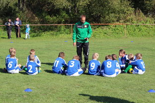 乐鱼入口-中国篮球教练员在比赛中决策行为研究，篮球教练员行为准则